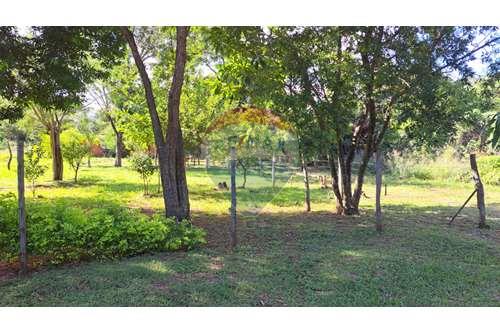 Terreno Venta Paraguay Central Luque 143094023 5 RE MAX Paraguay