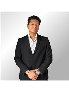 David Alejandro Pecero Martinez  - RE/MAX Centurión