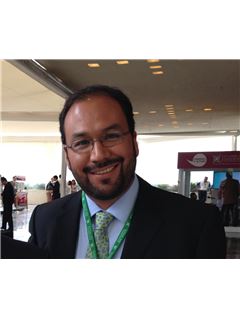 Rafael Tenorio Rojas - RE/MAX Real Estate Consul..