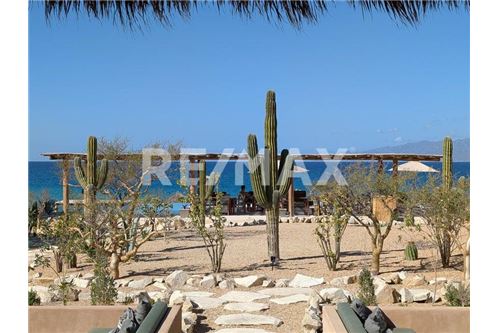 Residenziale - Parte di Terreno per Appezzamento - La Paz, Messico - Mexico - 13 - 1001122092-70