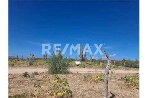 Residenziale - Parte di Terreno per Appezzamento - La Paz, Messico - Mexico - 2 - 1001122092-70