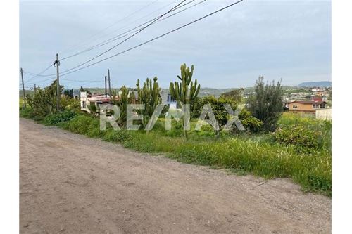 Residenziale - Parte di Terreno per Appezzamento - Playas De Rosarito, Messico - Mexico - 12 - 1001006176-102