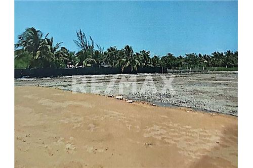 Wohnung - Grundstück für Freizeit - Tuxpan, Mexiko - Mexico - 20 - 1001180001-352