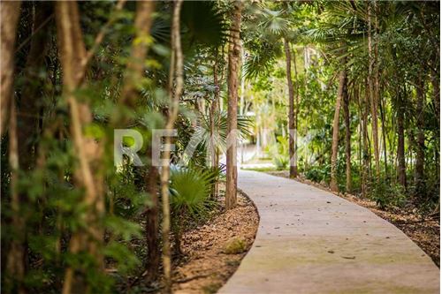 Residential - Plot of Land for Investment - Playa del Carmen, Mexico - Mexico - 8 - 1001040031-57