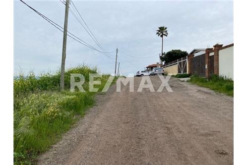 Residenziale - Parte di Terreno per Appezzamento - Playas De Rosarito, Messico - Mexico - 3 - 1001006176-102