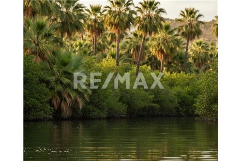 Residential - House - Los Cabos, Mexico - Mexico - 28 - 1001122130-8