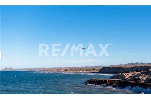 Commercial - Land - San Ignacio, Mexico - Mexico - 4 - 1001006001-803