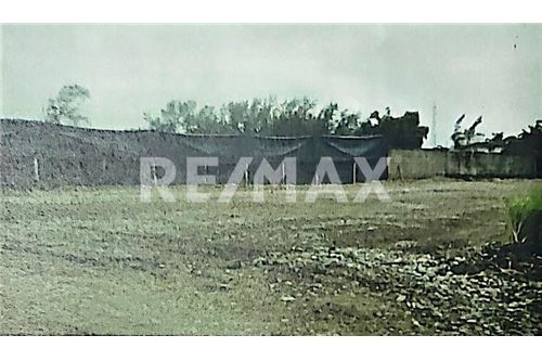 Wohnung - Grundstück für Freizeit - Tuxpan, Mexiko - Mexico - 6 - 1001180001-352