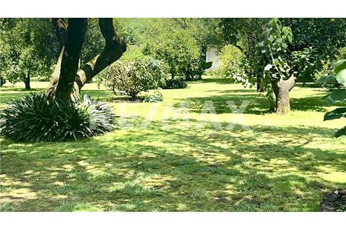 Residential - Hiša večstanovanjska - Valle De Bravo, Mehika - Mexico - 24 - 1001004127-1