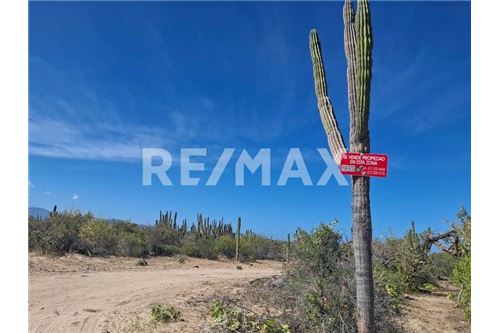 Residenziale - Parte di Terreno per Appezzamento - La Paz, Messico - Mexico - 3 - 1001122092-70