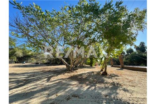 Residential - House - Los Cabos, Mexico - Mexico - 15 - 1001122130-8