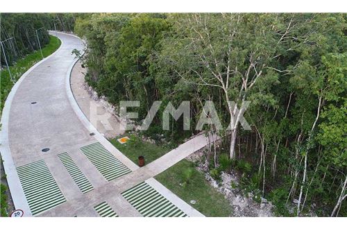 Residential - Plot of Land for Investment - Playa del Carmen, Mexico - Mexico - 7 - 1001040031-57