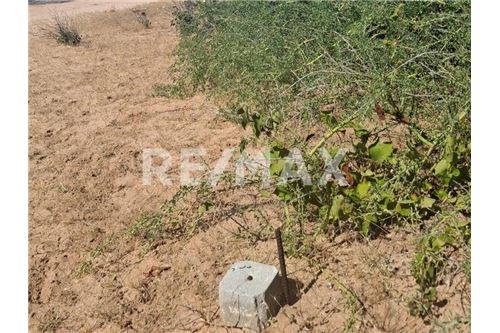 Residenziale - Parte di Terreno per Appezzamento - La Paz, Messico - Mexico - 6 - 1001122092-70