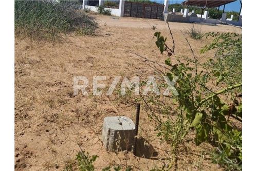 Residenziale - Parte di Terreno per Appezzamento - La Paz, Messico - Mexico - 7 - 1001122092-70