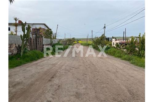 Residenziale - Parte di Terreno per Appezzamento - Playas De Rosarito, Messico - Mexico - 11 - 1001006176-102