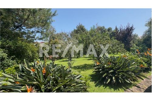 Residential - Hiša večstanovanjska - Valle De Bravo, Mehika - Mexico - 4 - 1001004127-1