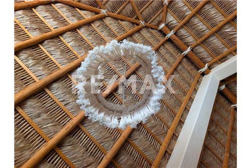 Residenziale - Parte di Terreno per Appezzamento - La Paz, Messico - Mexico - 15 - 1001122092-70