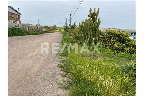 Residenziale - Parte di Terreno per Appezzamento - Playas De Rosarito, Messico - Mexico - 2 - 1001006176-102