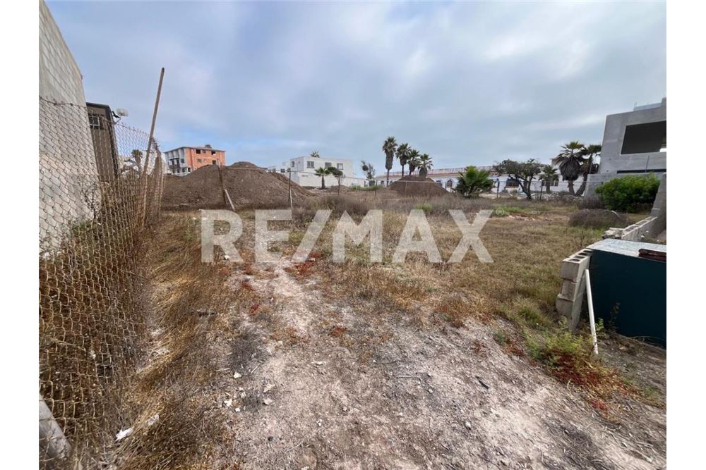Residenziale - Parte di Terreno per Appezzamento - Playas De Rosarito, Messico - Mexico - 19 - 1001006176-106