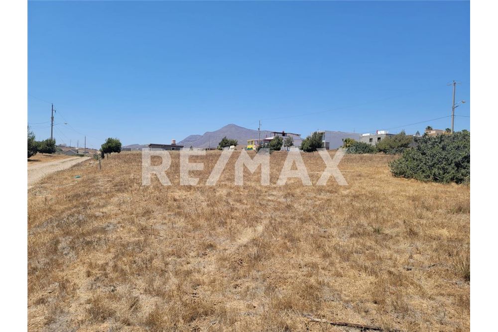 Wohnung - Grundstück für Freizeit - Playas De Rosarito, Mexiko - Mexico - 2 - 1001006061-104