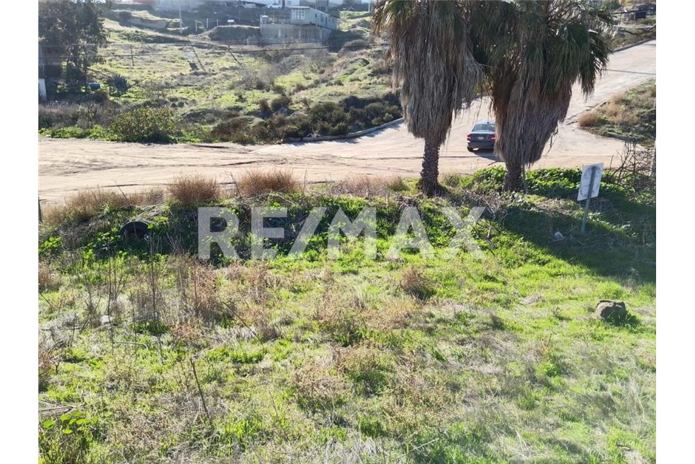 Prédio Habitacional - Plot of Land for Allotment - Playas De Rosarito, México - Mexico - 16 - 1001006182-103