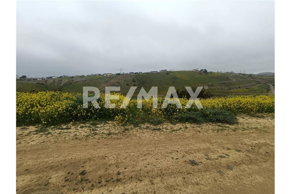 Residential - Plot of Land for Investment - Playas De Rosarito, Mexico - Mexico - 2 - 1001006243-59