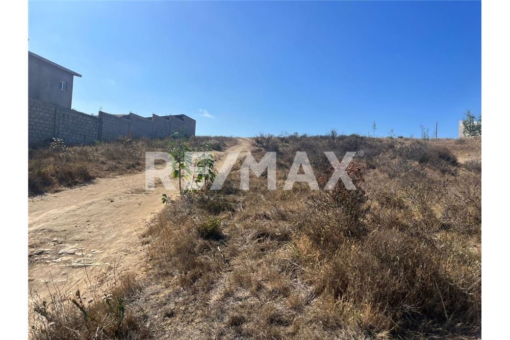 Prédio Habitacional - Plot of Land for Allotment - Playas De Rosarito, México - Mexico - 5 - 1001006182-87