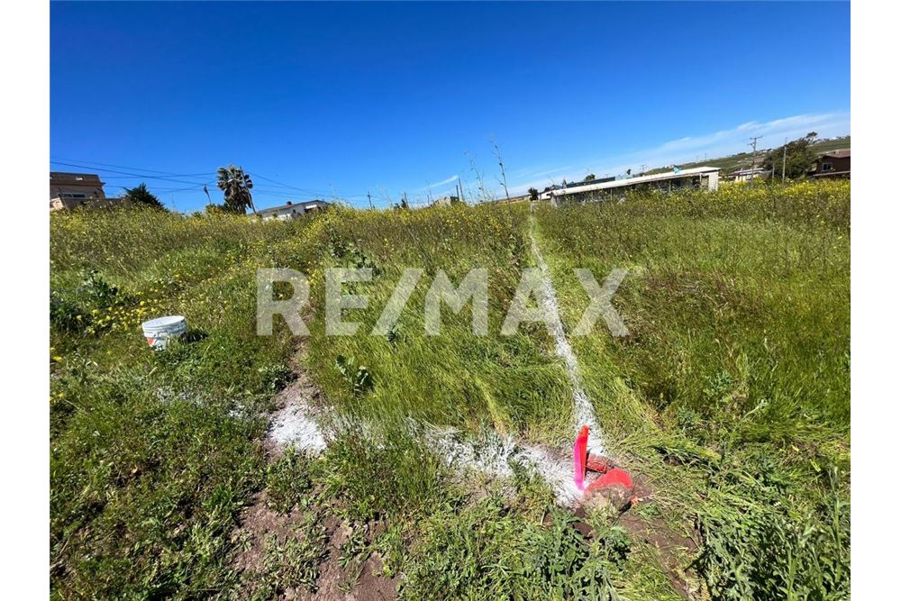 Residenziale - Parte di Terreno per Appezzamento - Playas De Rosarito, Messico - Mexico - 8 - 1001006176-102