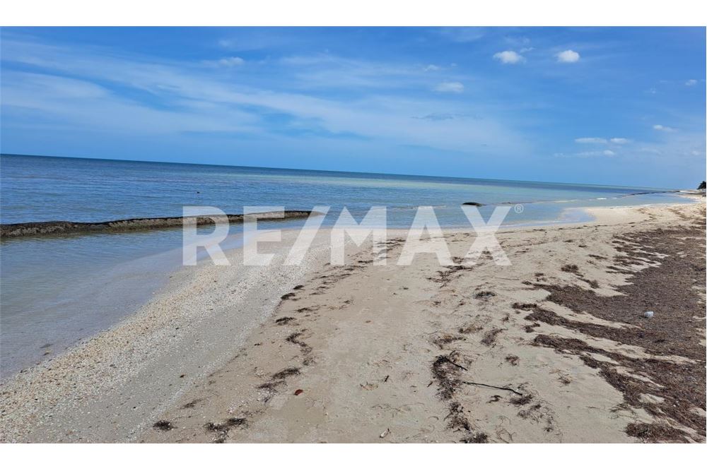 Residential - Apartment with roof - Progreso, Mexico - Mexico - 25 - 1001043030-762