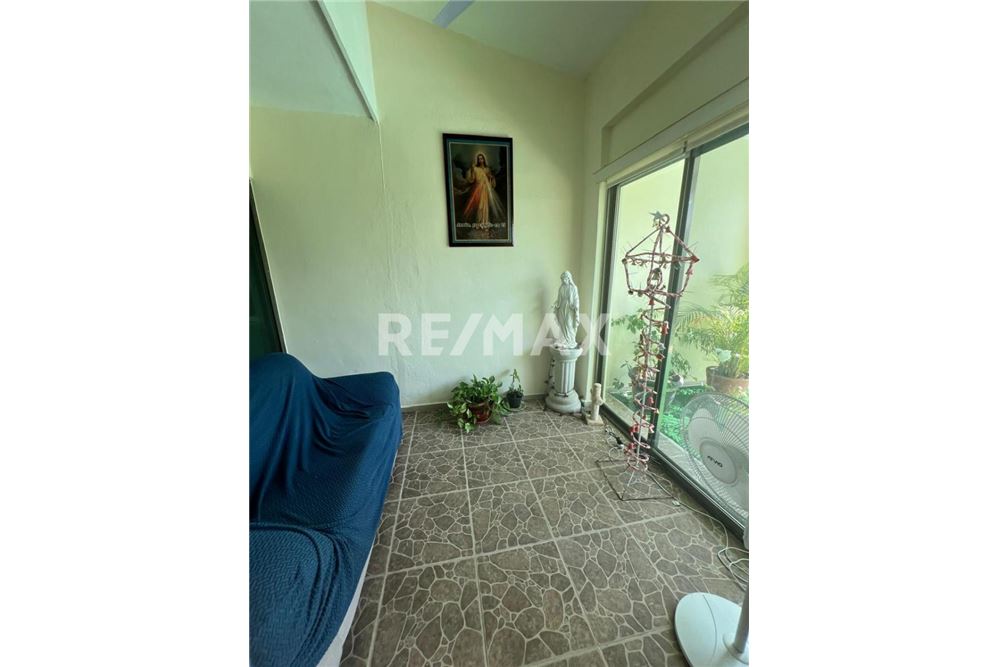 Elamine - Eramu - Mérida, Mehhiko - Mexico - 21 - 1001043014-810