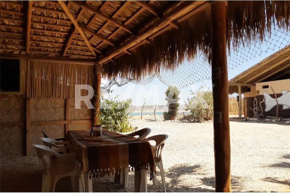 Commercio - Terreno - Comondu, Messico - Mexico - 8 - 1001006001-790