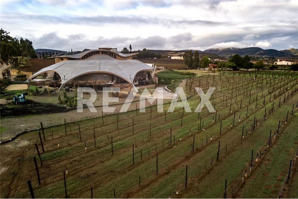 Commercial - Land - Ensenada, Mexico - Mexico - 1 - 1001006001-770