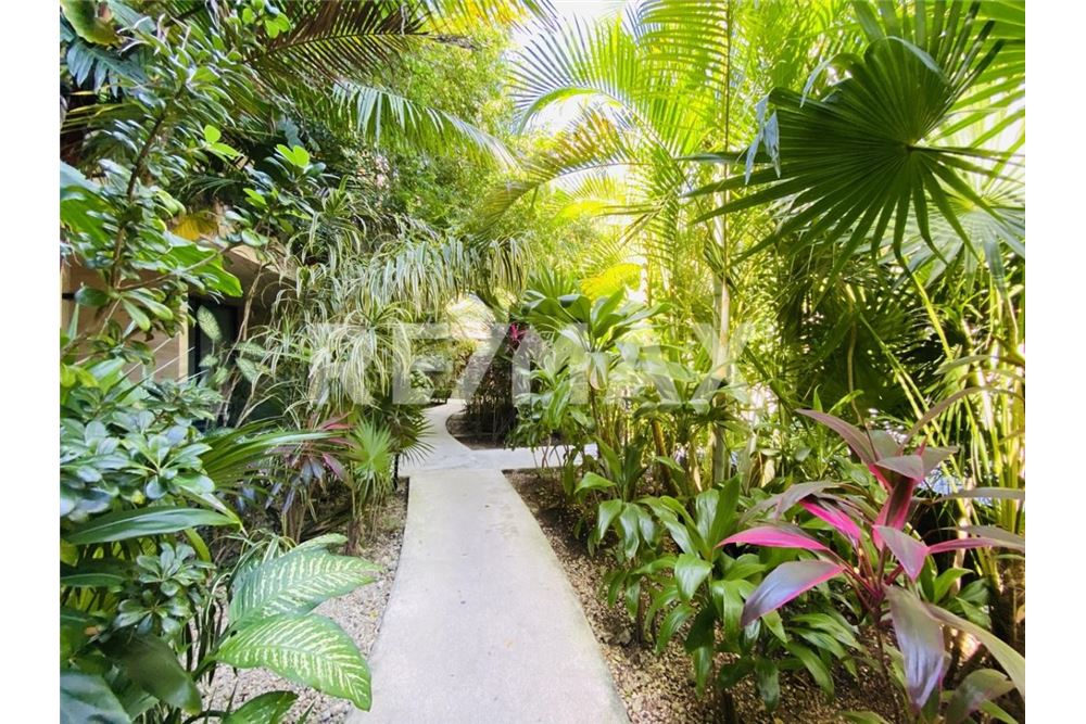 Residential - Apartment with roof - Tulum, Mexico - Mexico - 15 - 1001040001-1423