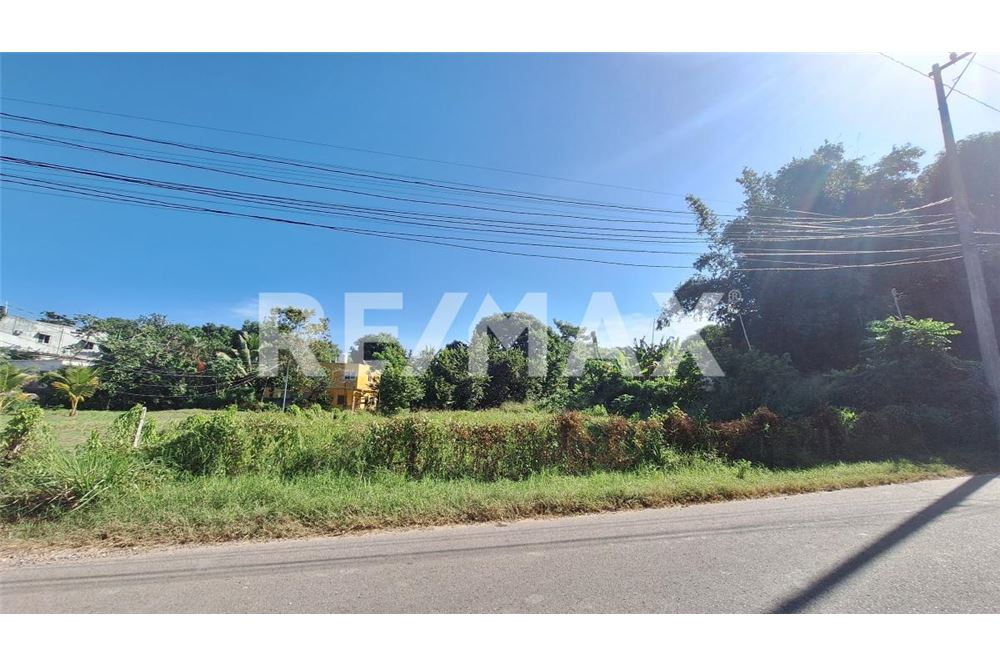 Residential - Petak Tanah untuk Disisihkan - Villahermosa, Mexico - Mexico - 3 - 1001126254-8