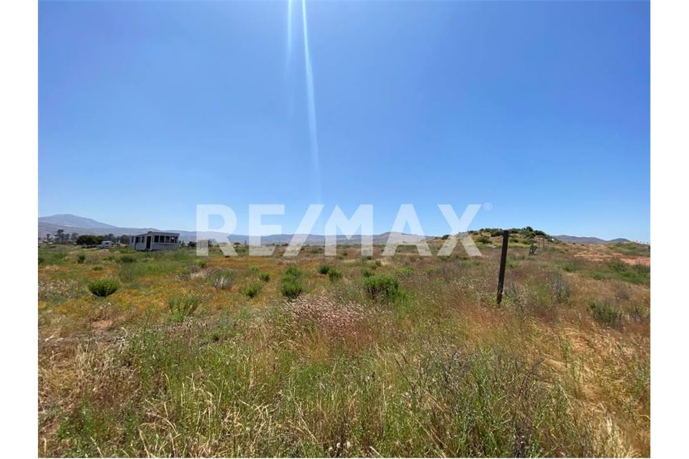 Residential - Plot of Land for Investment - Tecate, Mexico - Mexico - 5 - 1001104053-23