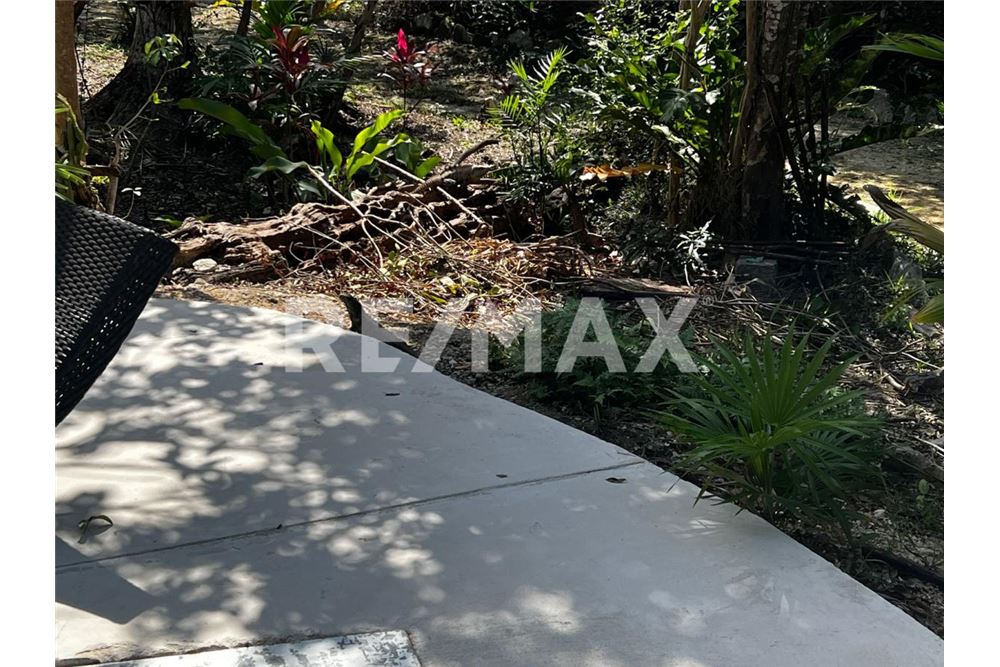 Residential - Plot of Land for Investment - José María Morelos, Mexico - Mexico - 10 - 1001040001-1392