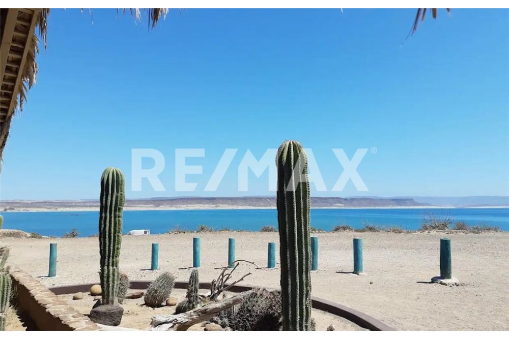 Commercio - Terreno - Comondu, Messico - Mexico - 5 - 1001006001-790