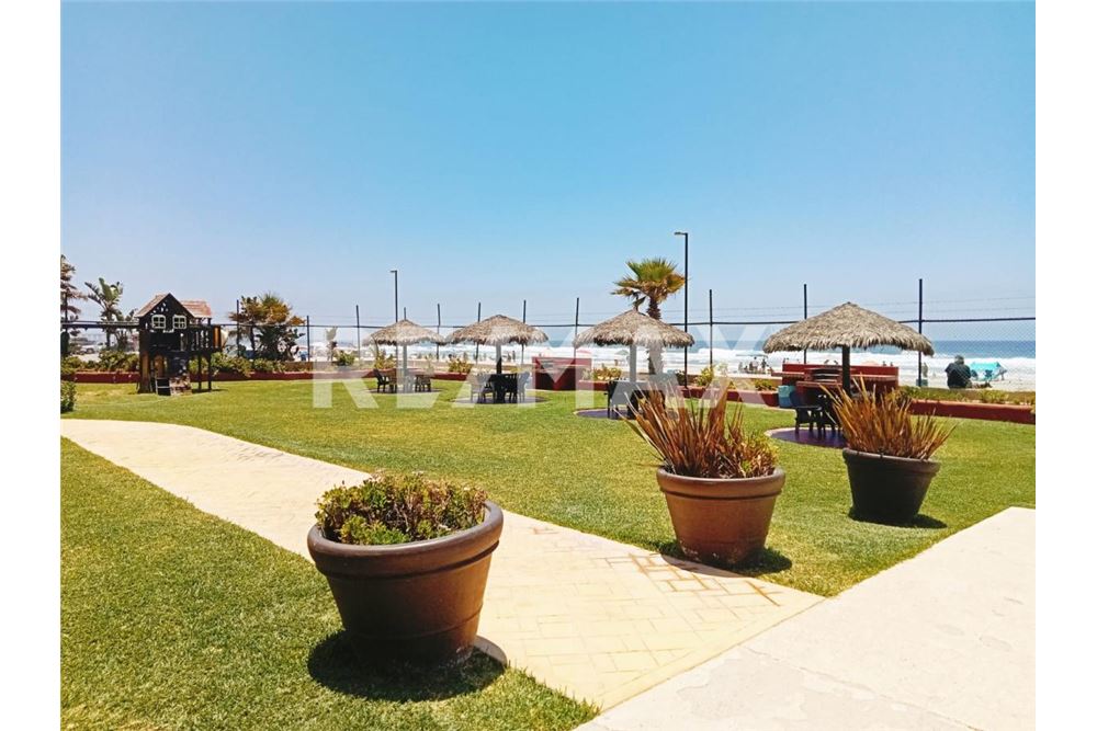 वाणिज्यिक - ऑफ़िस (कार्यालय) - Playas De Rosarito, मेक्सिको - Mexico - 7 - 1001104003-183