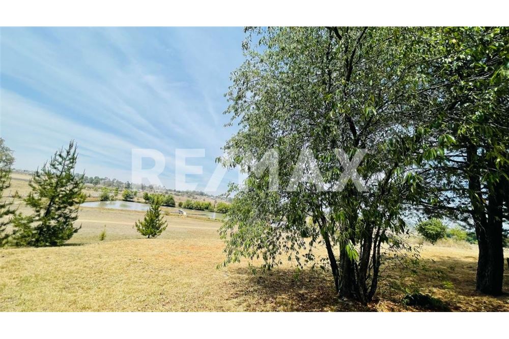 Wohnung - Boerderij - Aculco, Mexiko - Mexico - 44 - 1001065095-173