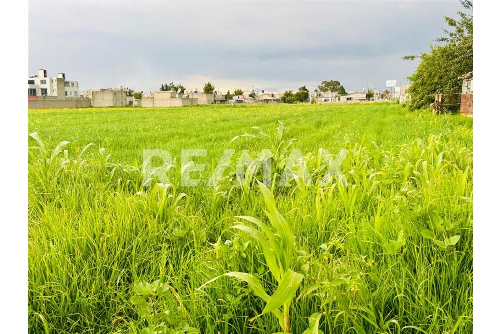 Residential - Plot of Land for Investment - Metepec, Mexico - Mexico - 3 - 1001021073-30