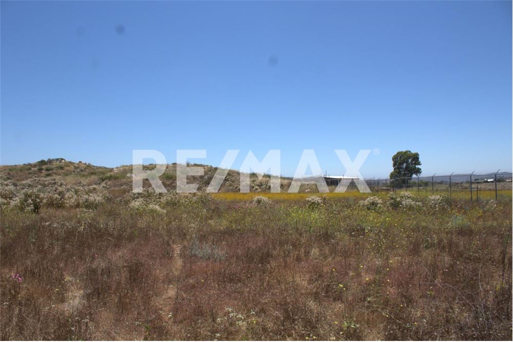 Residential - Земельный участок для сдачи в аренду - Ensenada, Мексика - Mexico - 3 - 1001262001-65