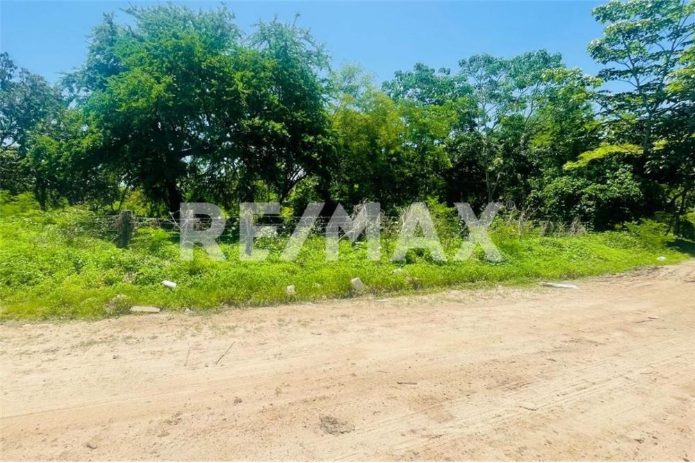 Residential - Plot of Land for Investment - Bahía De Banderas, Mexico - Mexico - 8 - 1001121049-4