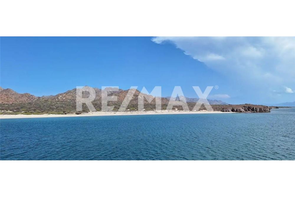 Commercial - Land - San Ignacio, Mexico - Mexico - 1 - 1001006001-796