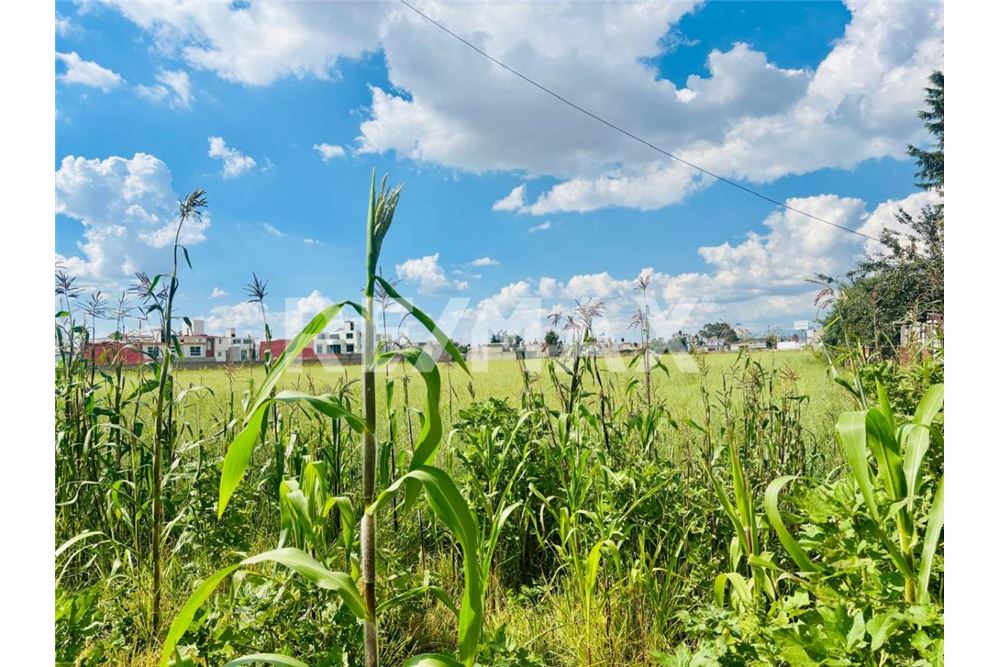 Residential - Plot of Land for Investment - Metepec, Mexico - Mexico - 3 - 1001021073-29