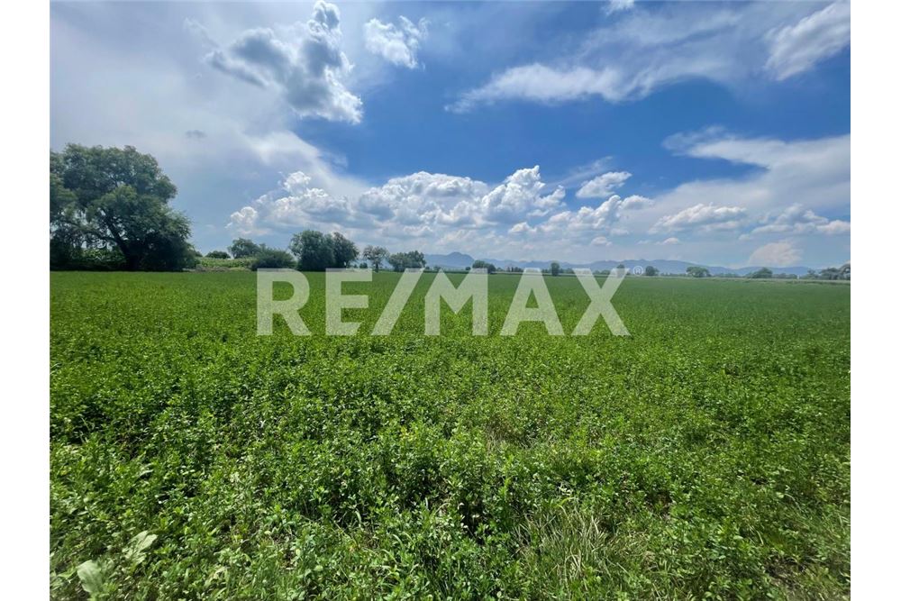 Commercio - Terreno - Mixquiahuala De Juárez, Messico - Mexico - 2 - 1001065095-177