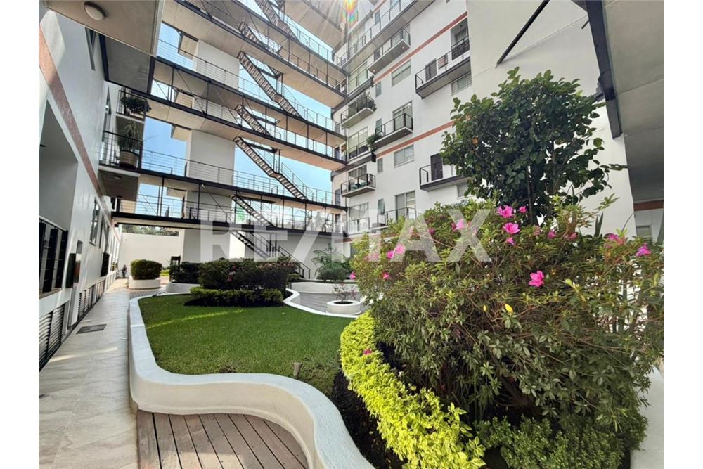 住宅 - 带屋顶的公寓 - Ciudad de México, 墨西哥 - Mexico - 1 - 1001028001-205