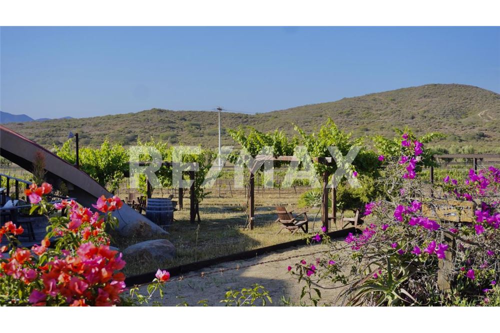 Commercial - Land - Ensenada, Mexico - Mexico - 21 - 1001006001-770