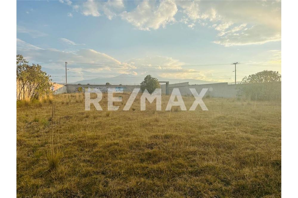 Residential - Plot of Land for Investment - Toluca, Mexico - Mexico - 2 - 1001021017-95