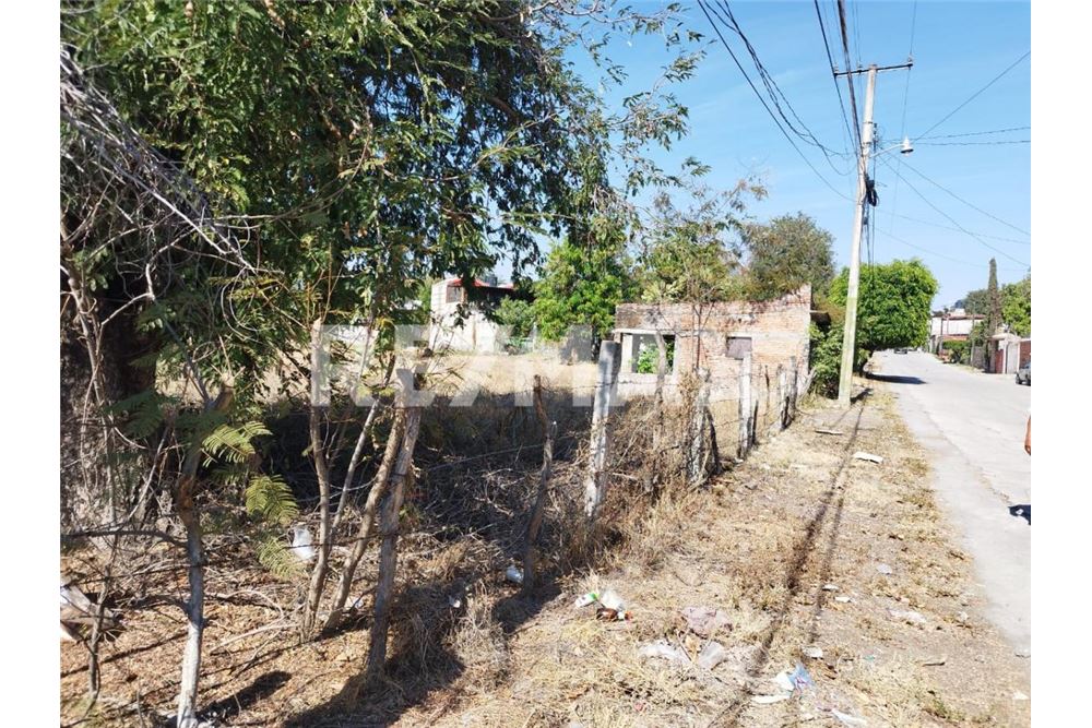 Woningbouw - Bouwkavel - Miacatlan, Mexico - Mexico - 4 - 1001233025-116