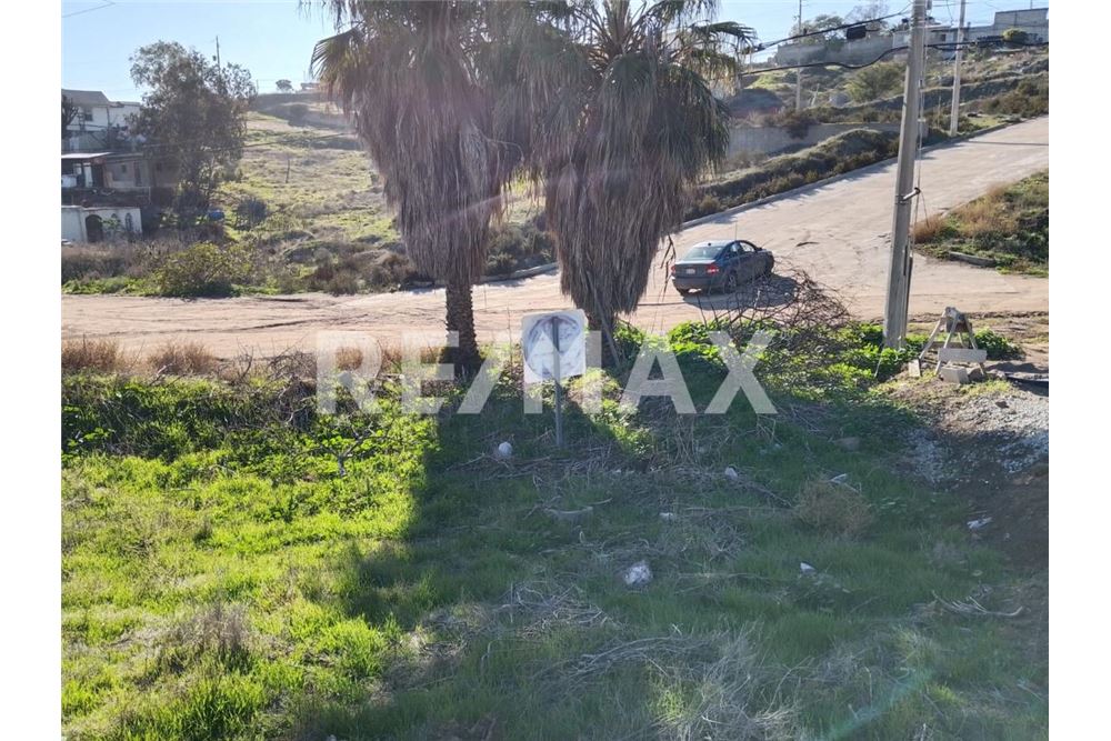 Prédio Habitacional - Plot of Land for Allotment - Playas De Rosarito, México - Mexico - 18 - 1001006182-103